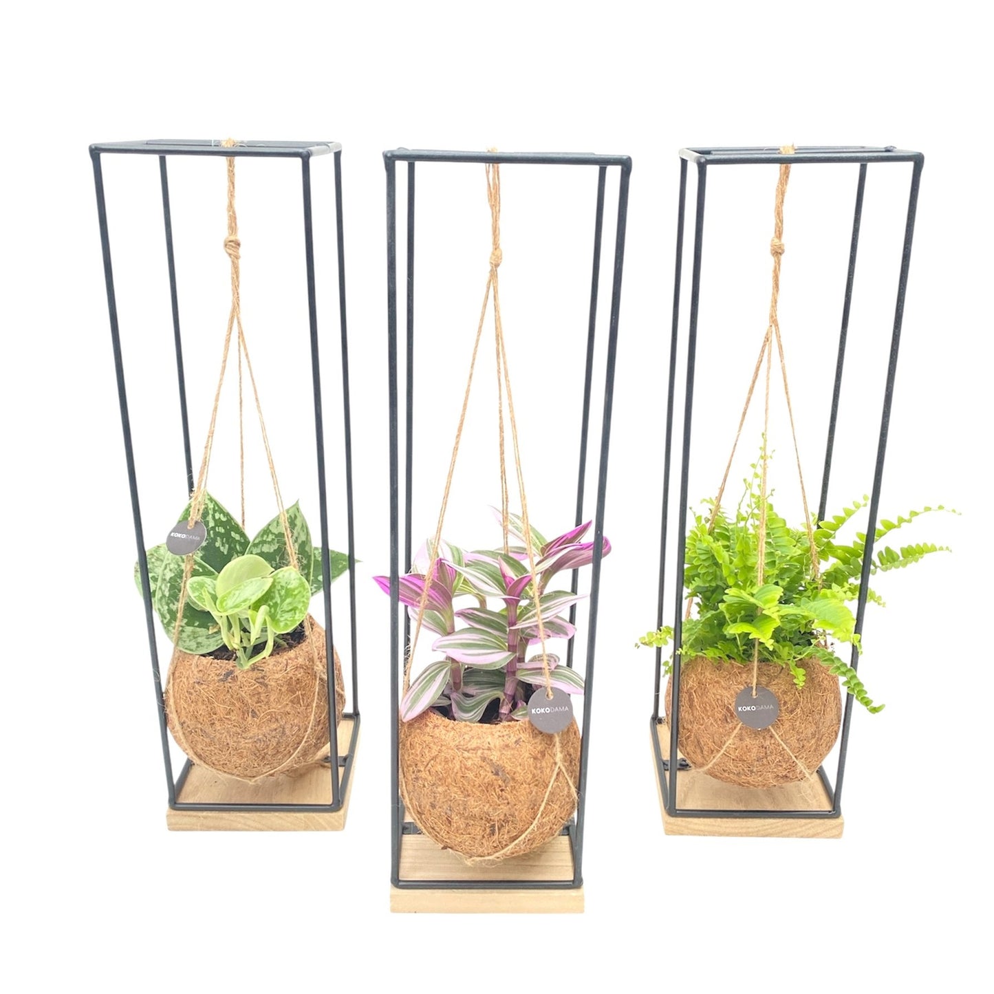 Kokodama Green mix 46cm 12cm Pot