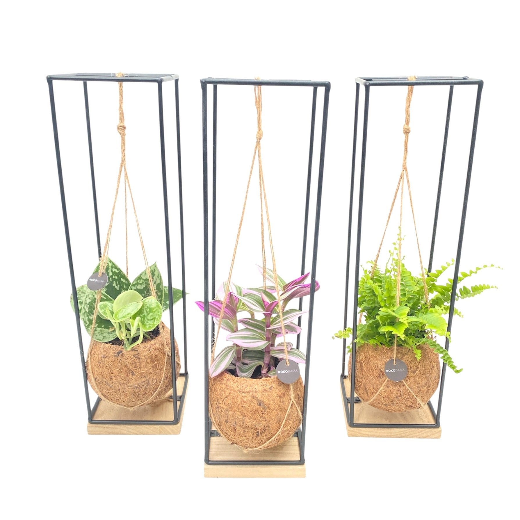 Kokodama Green mix 50cm 12cm Pot