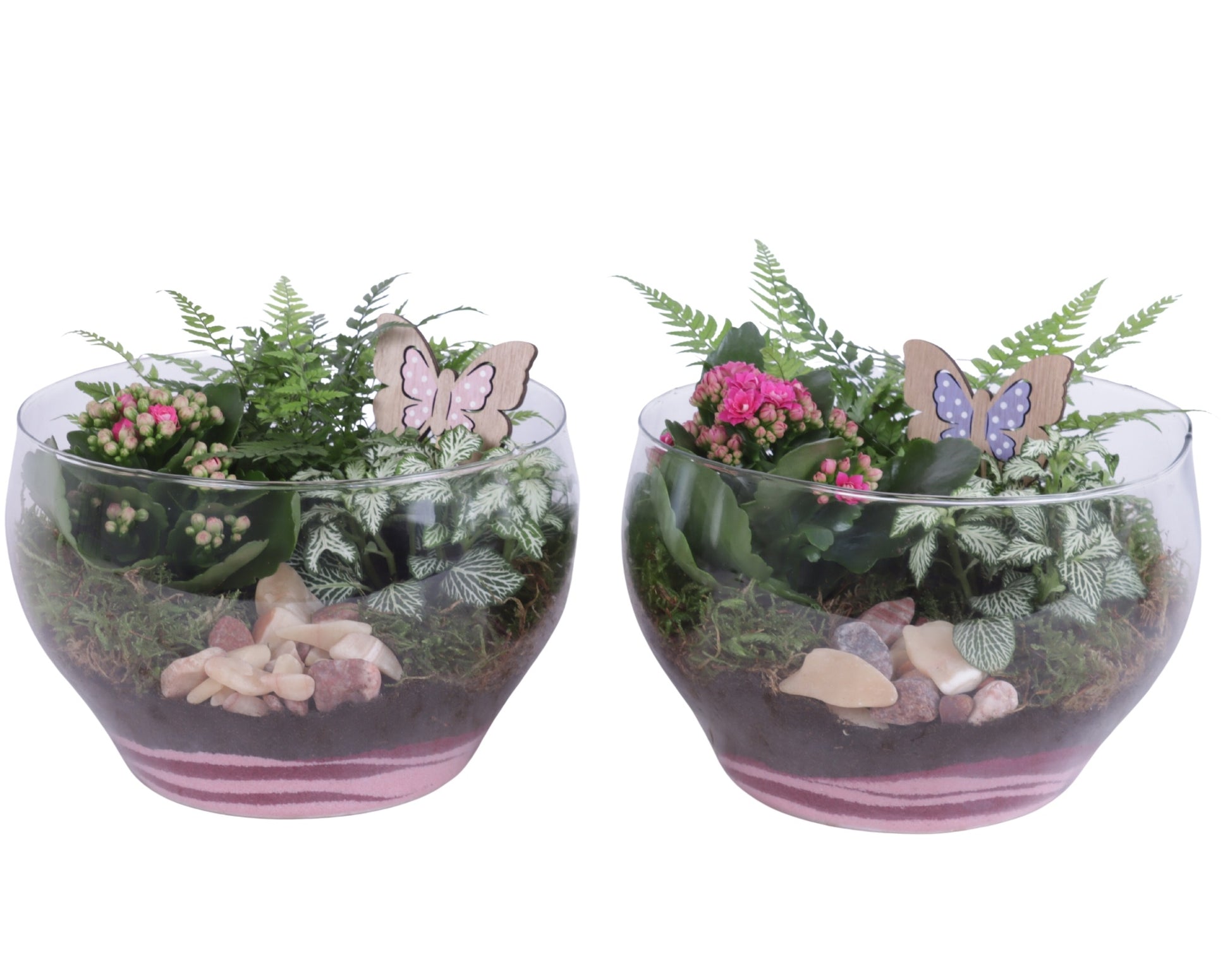 Indoor arrangement 25cm 25cm Pot