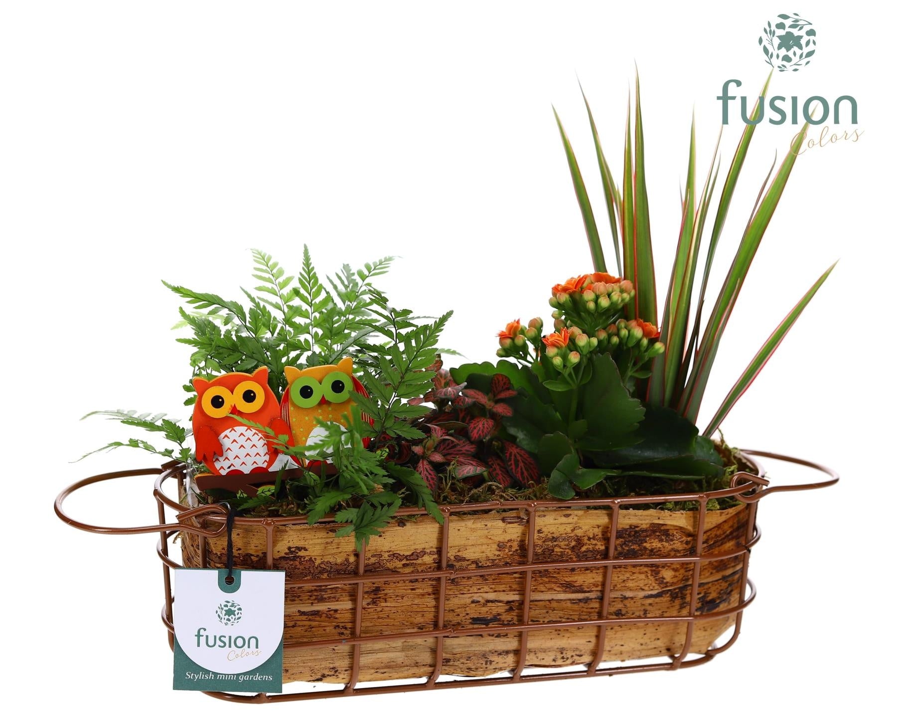 Fusioncolors BV Metaal mand ovaal Medium Herfst met Arrangement 4pp Pack of 6
