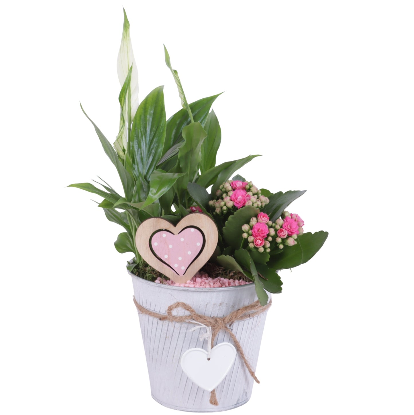 Indoor arrangement 25cm 13cm Pot