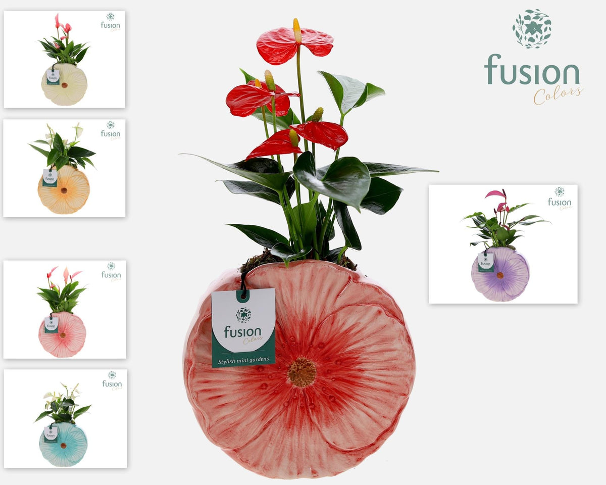 Keramiek Bloem Medium pot met Anthurium 43cm 18cm Pot