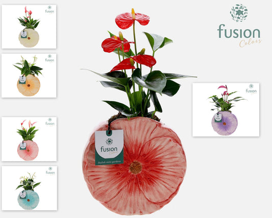 Keramiek Bloem Medium pot met Anthurium 43cm 18cm Pot