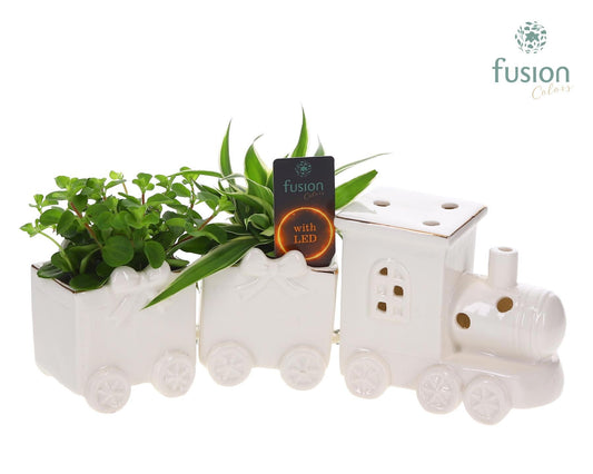 Keramiek LED Trein Medium met Groenen planten 15cm 34cm Pot