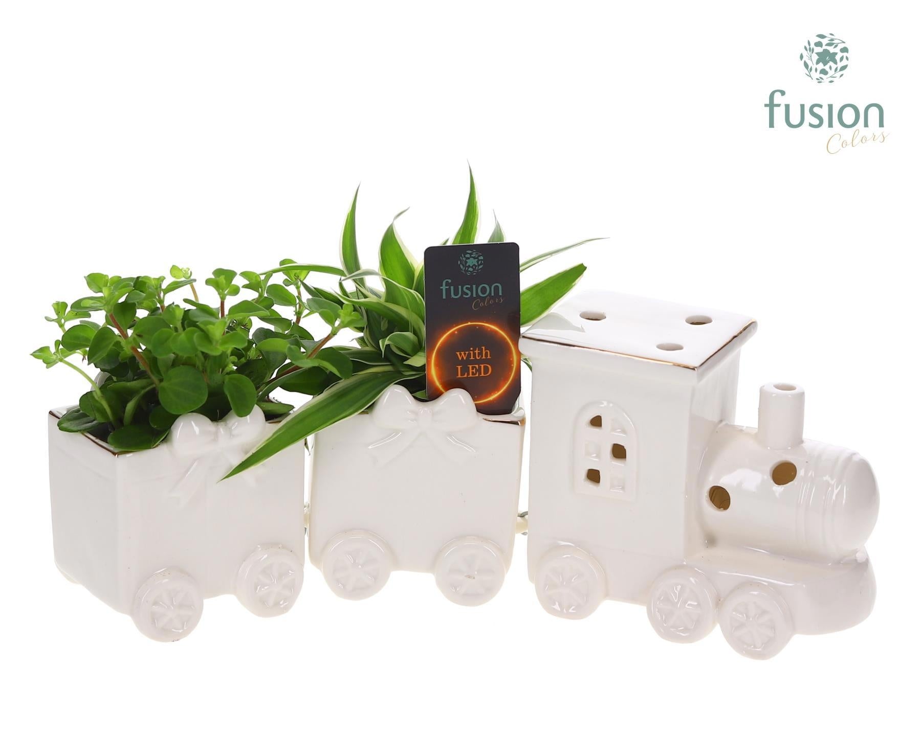 Fusioncolors BV Keramiek LED Trein Medium met Groenen planten Pack of 3