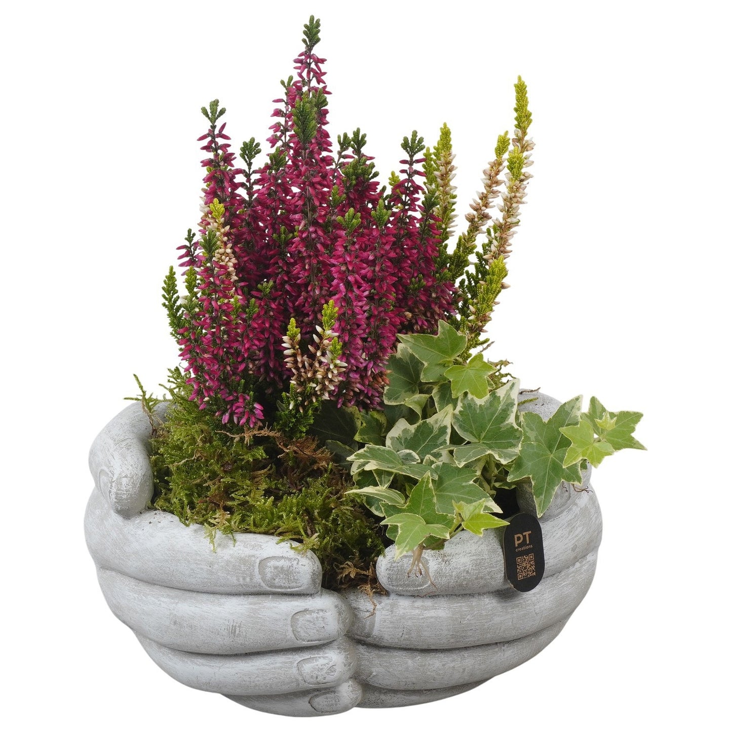 arr-jsal-2003-25cm-20cm-pot
