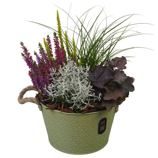 Outdoor arrangement 36cm 21cm Pot