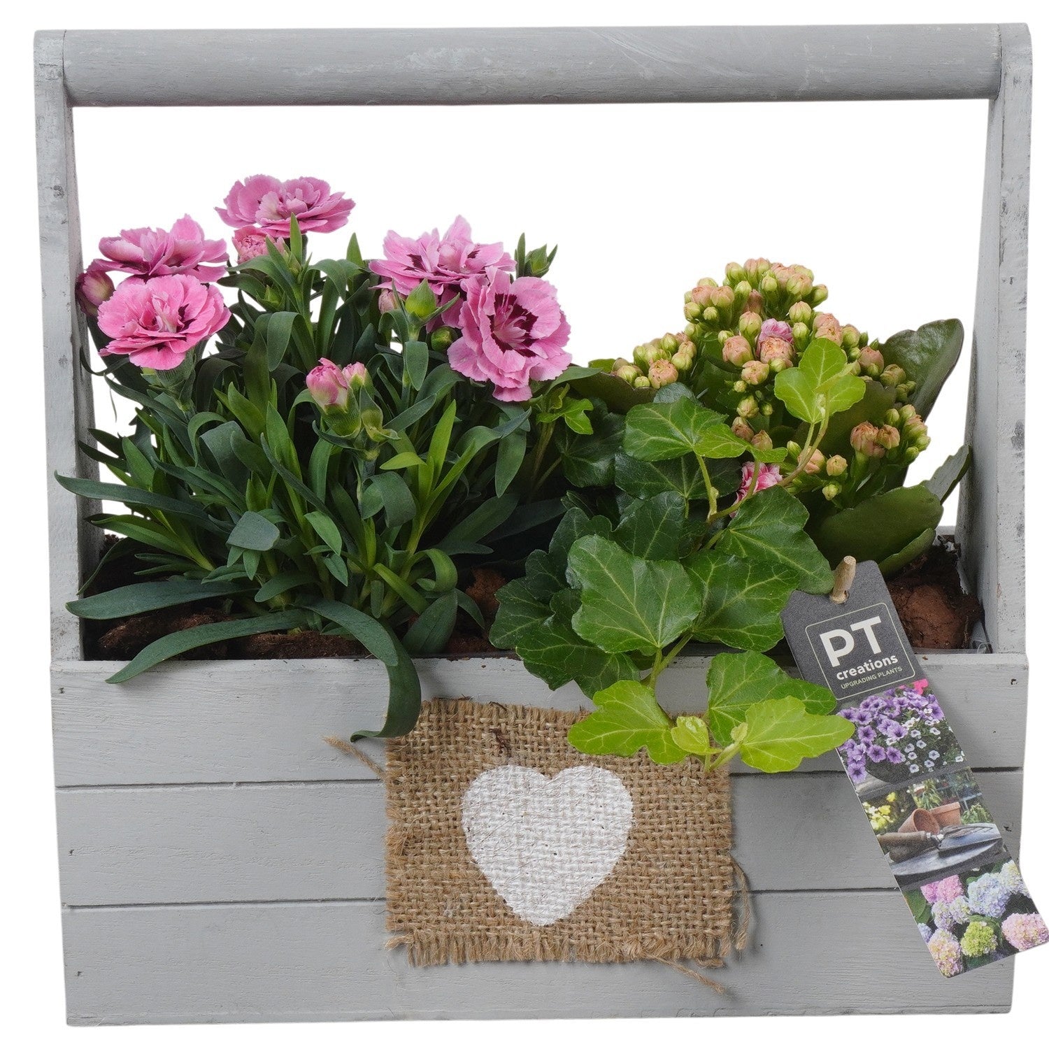 Outdoor arrangement 26cm 25cm Pot