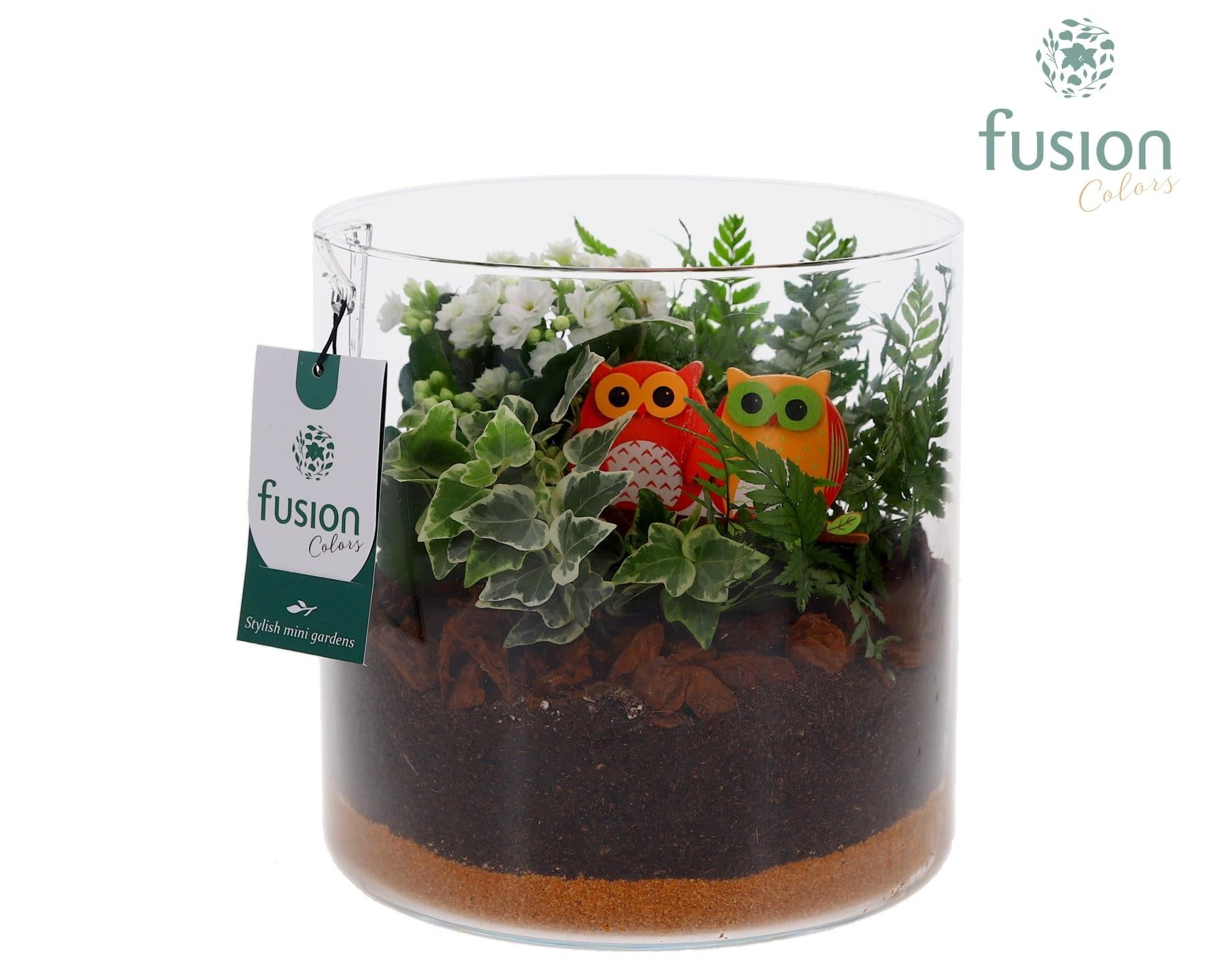Fusioncolors BV Glas cilinder Lucille groot met arrangement Herfst 3pp Pack of 2