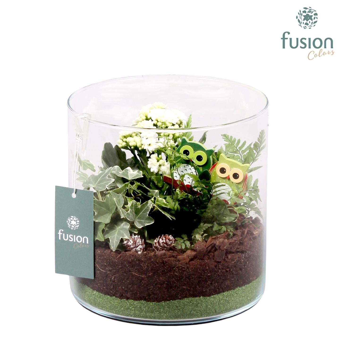 Fusioncolors BV Glas cilinder Lucille groot met herfstarrangement 3pp Pack of 2