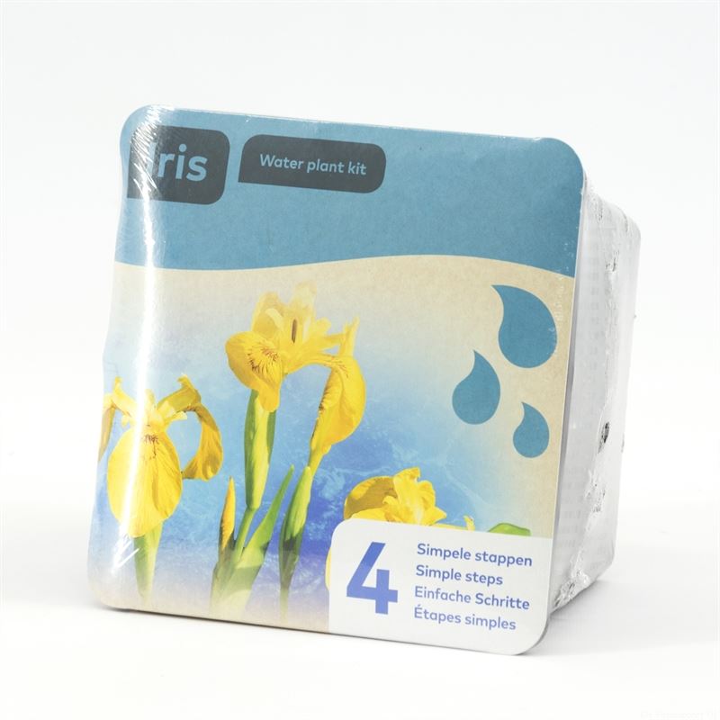 Waterplkw R. Moerings Iris pseudacorus Pack of 7