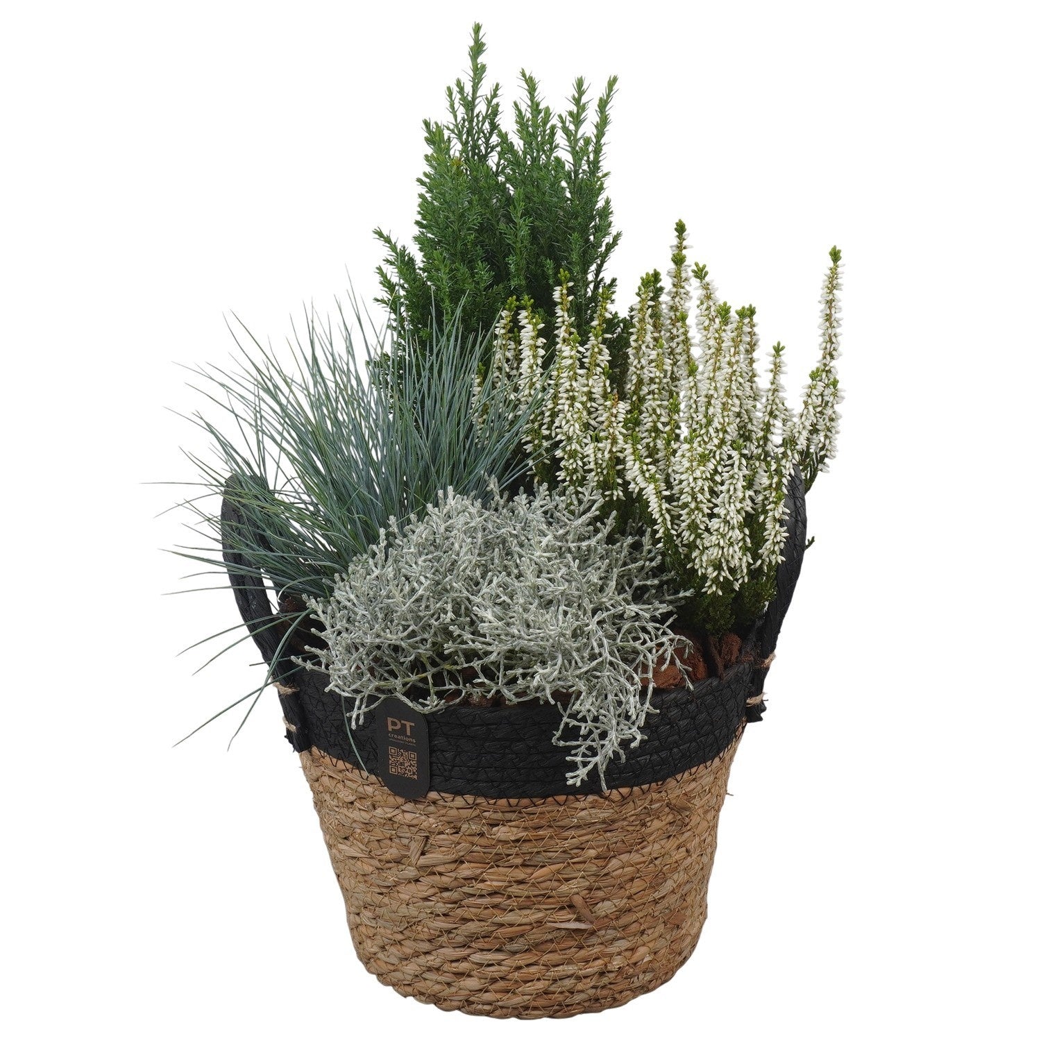 Outdoor arrangement 42cm 22cm Pot