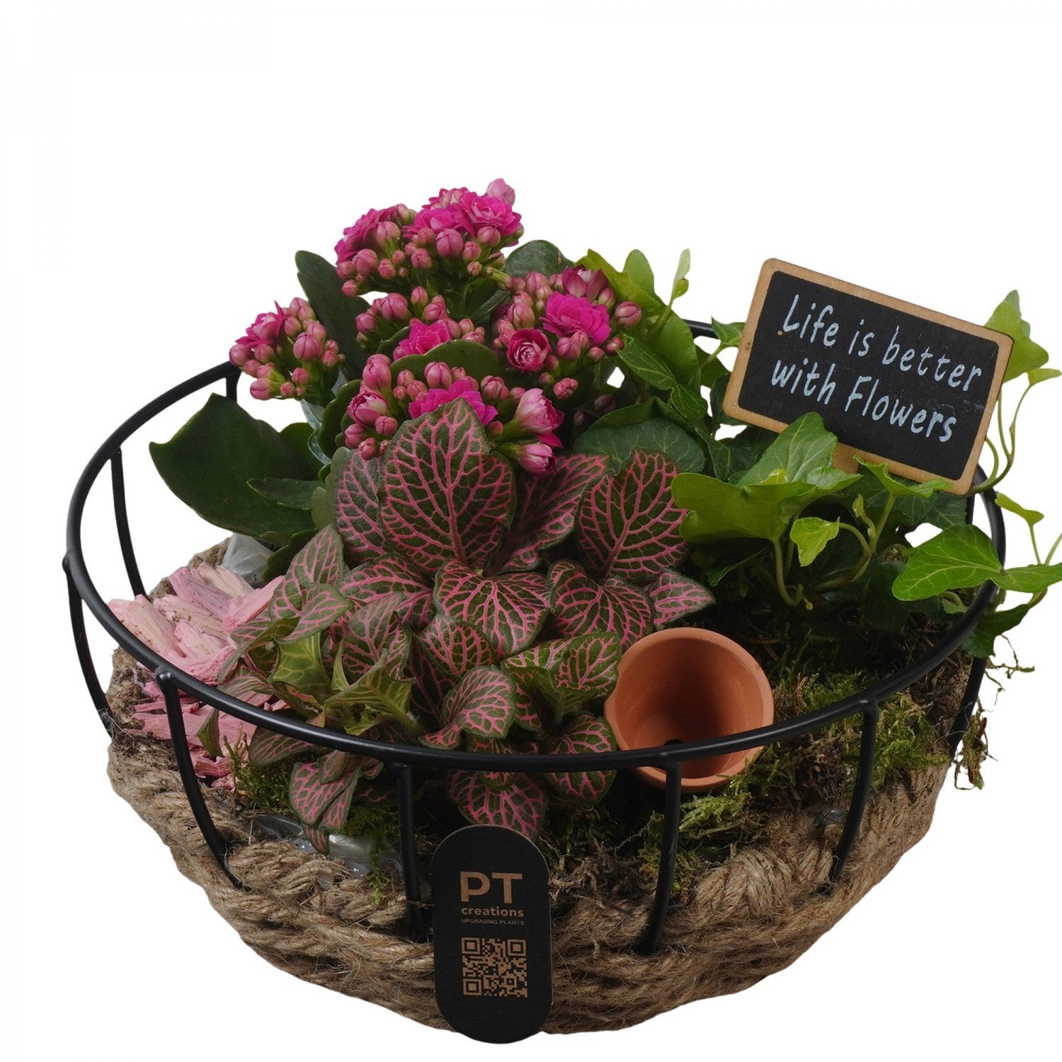 Indoor arrangement 19cm 20cm Pot