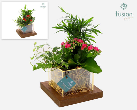 Acryl LED bakje met arrangement 29cm 15cm Pot