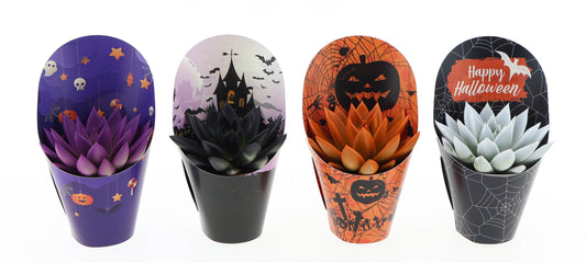 Potcover halloween rainbow mix 10cm 8.5cm Pot