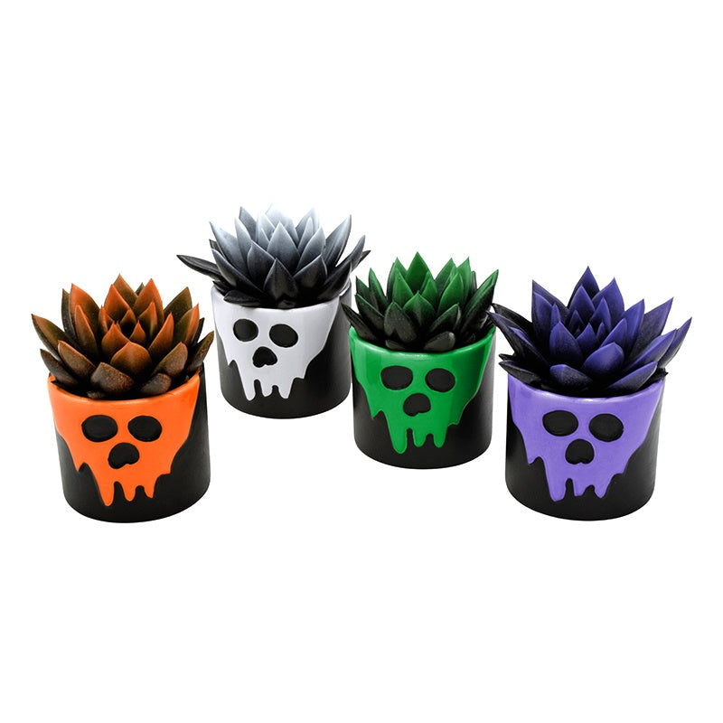 Miranda bicoloured in Halloween Scream ceramics 8cm 6cm Pot