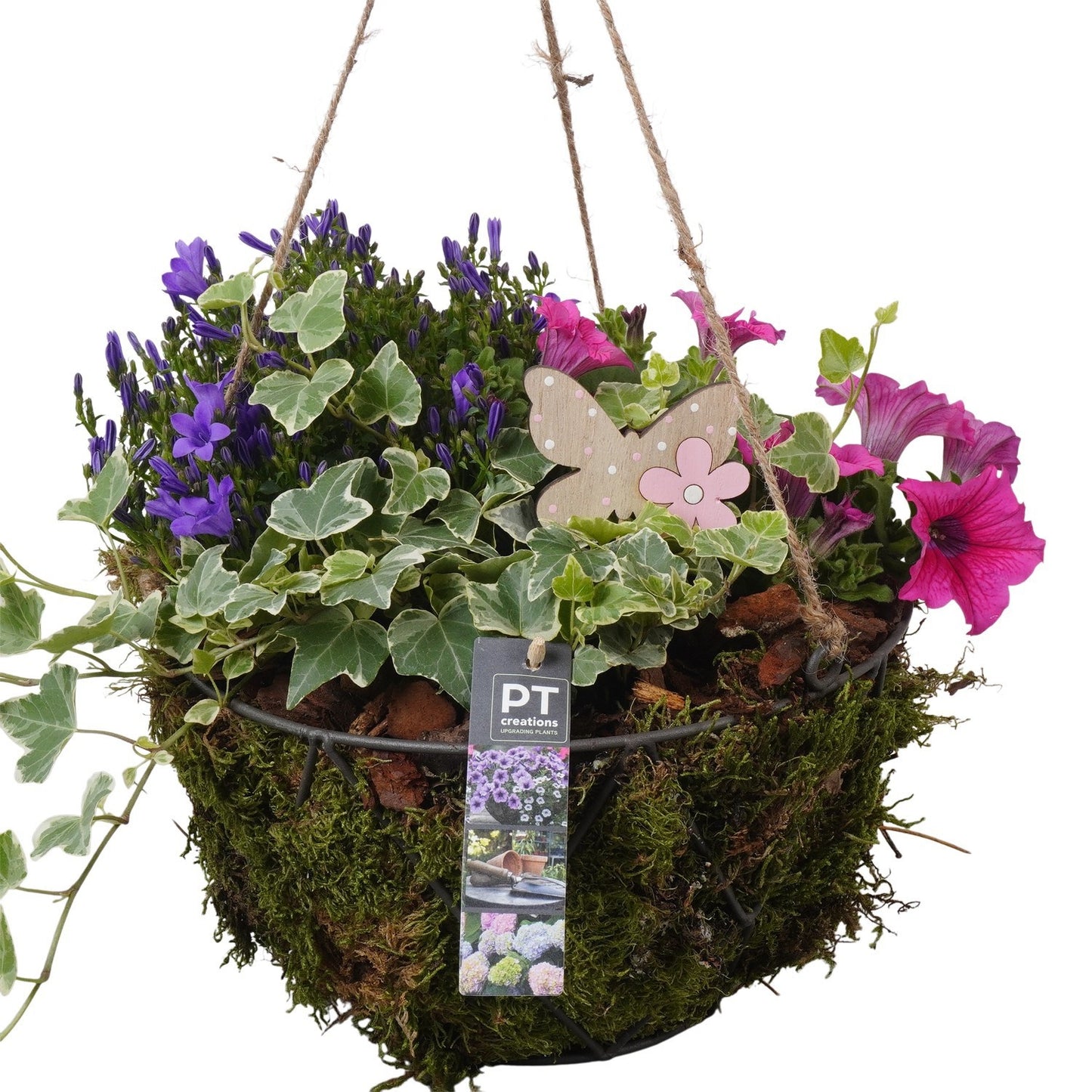 arr. PM196 29cm 26cm Pot