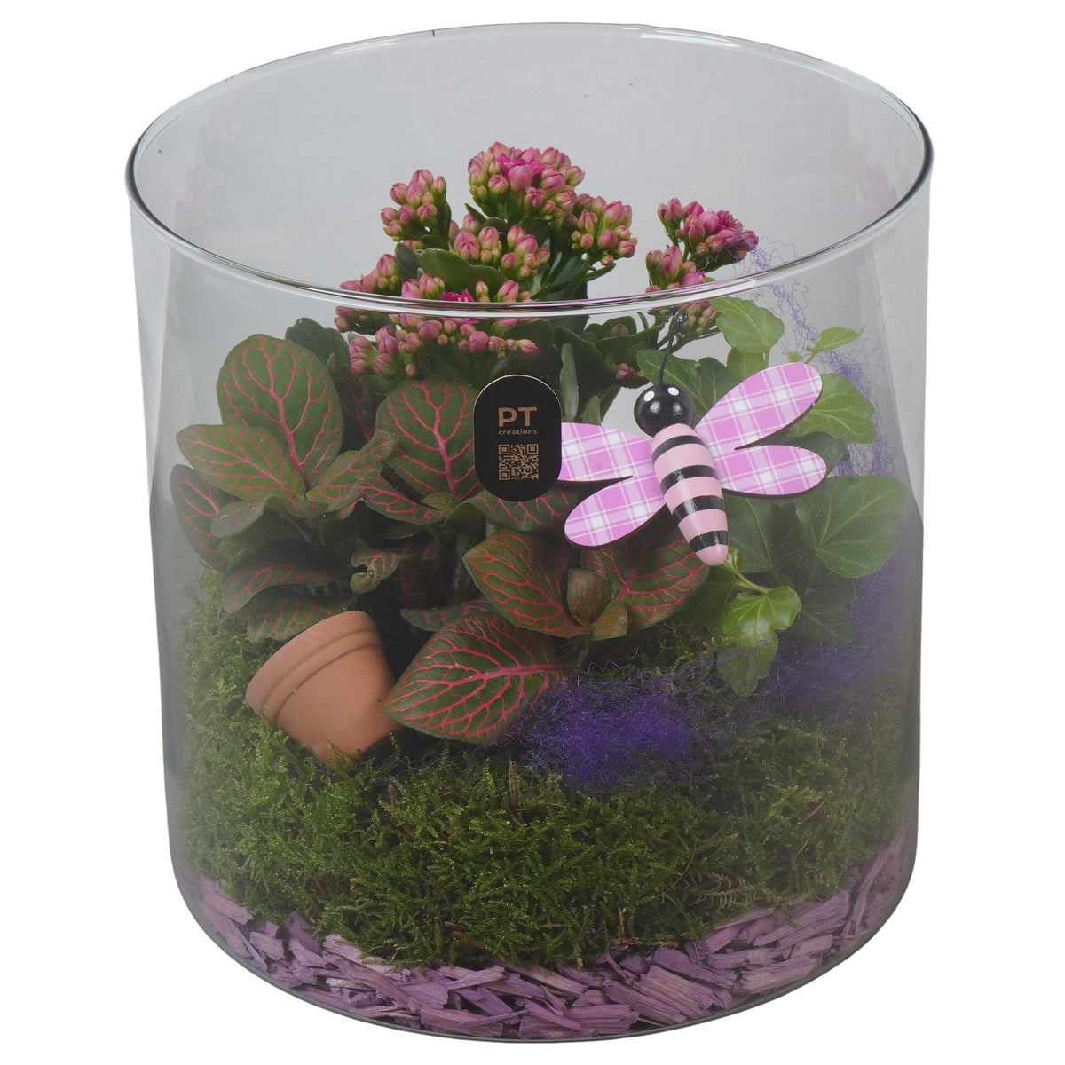 Indoor arrangement 20cm 19cm Pot