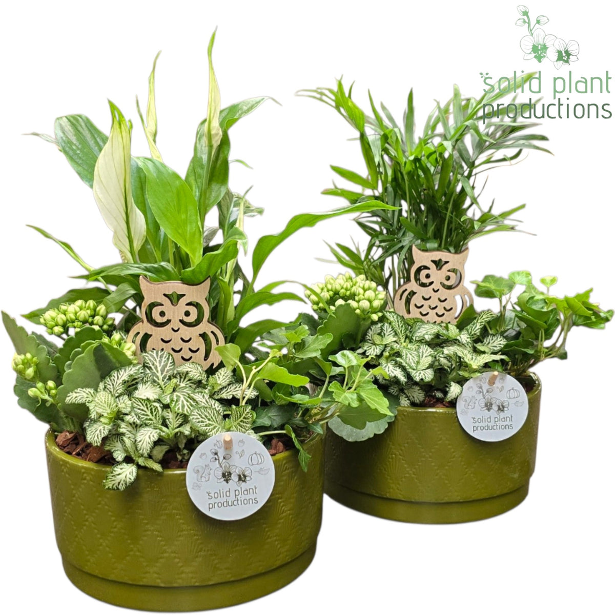 SC003 Loes Green White Mix 40cm 19cm Pot