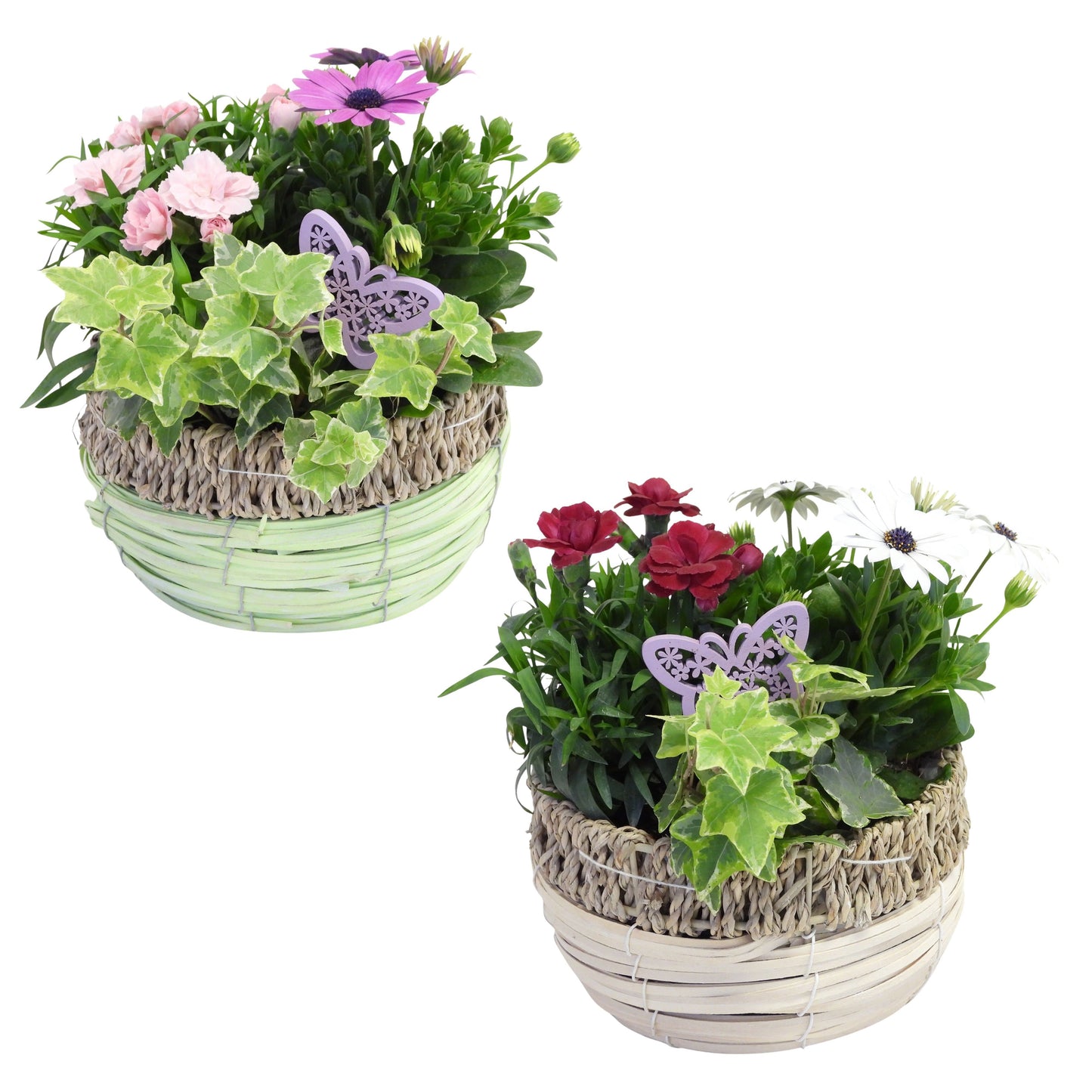 Outdoor arrangement 28cm 16cm Pot
