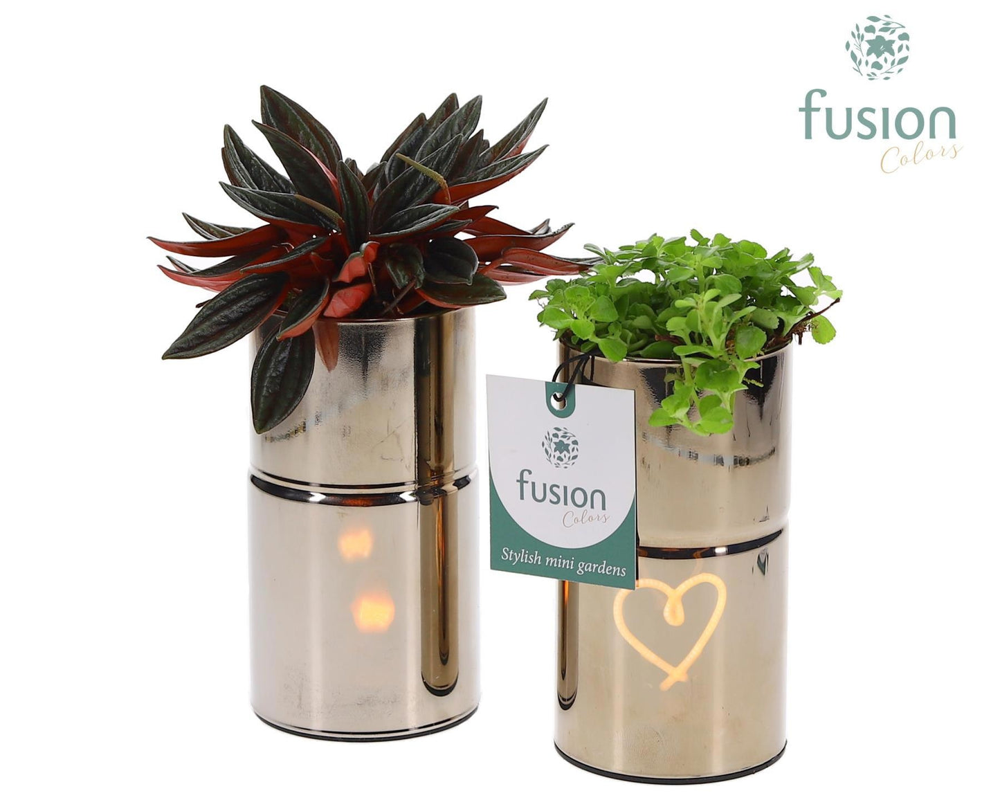 Glas LED tube planter met Groen planten 20cm 7cm Pot