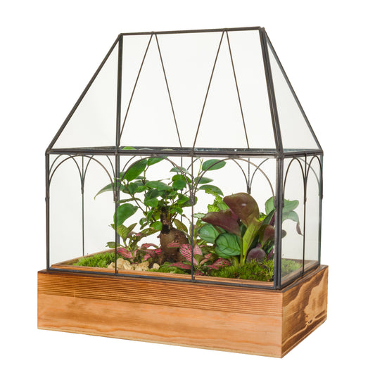 arr. Terrarium 31cm 29cm Pot