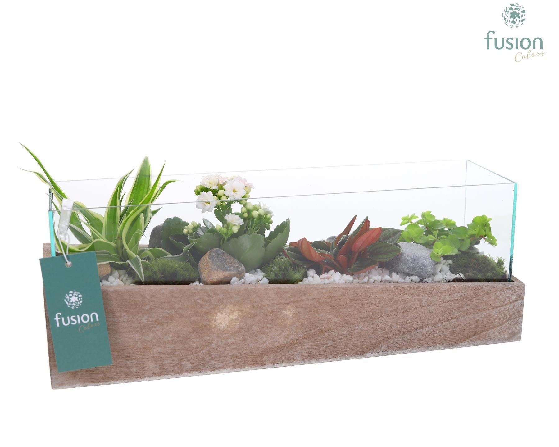 Aquarium Medium met Arrangement 15cm 38cm Pot