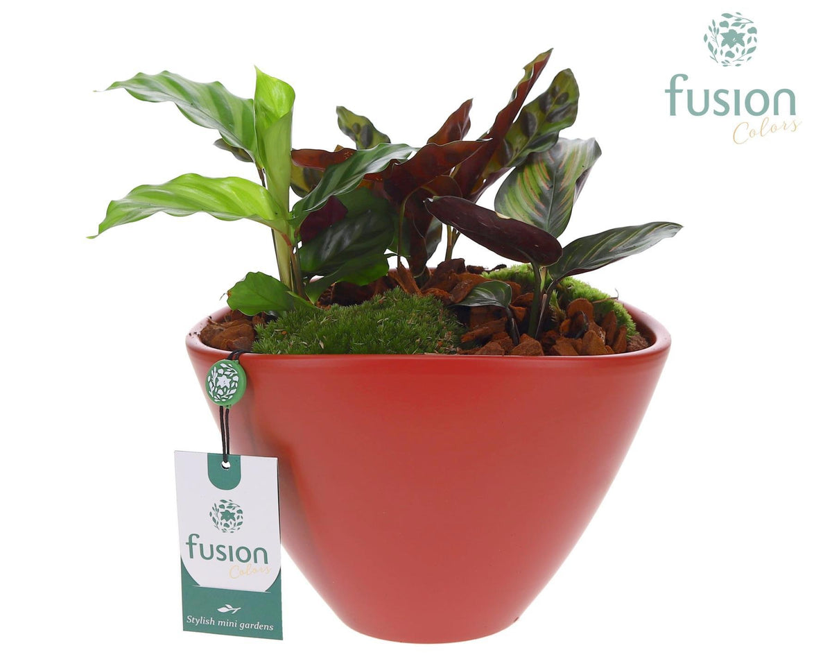 Pot keramiek ovaal Large met arrangement 25cm 23cm Pot