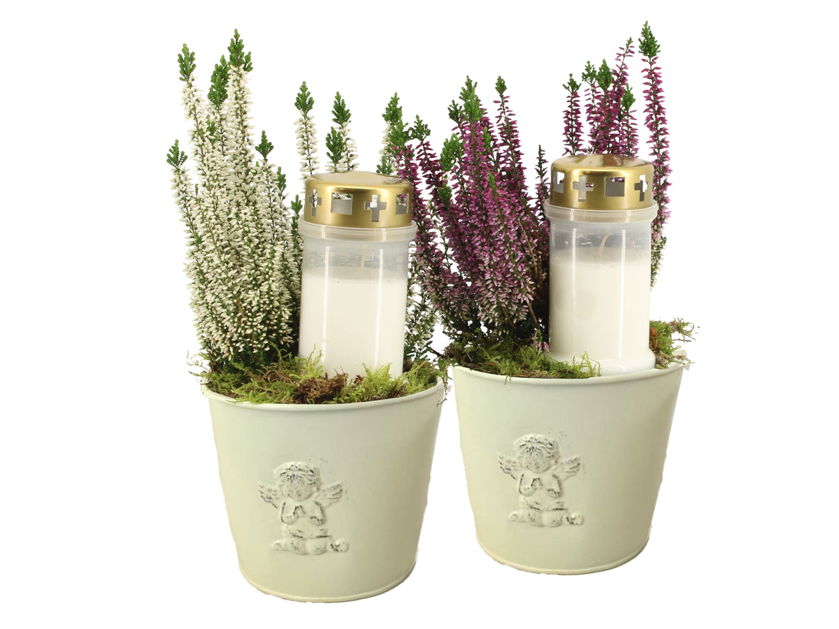 arr. all saints day 30cm 14cm Pot