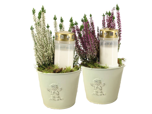 arr. all saints day 30cm 14cm Pot