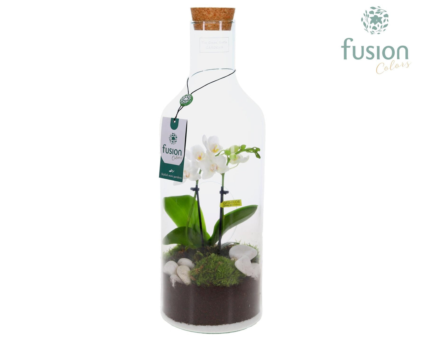 Fusioncolors BV Green Bottle Fles Medium met Phalaenopsis 24 uur levertijd Pack of 6