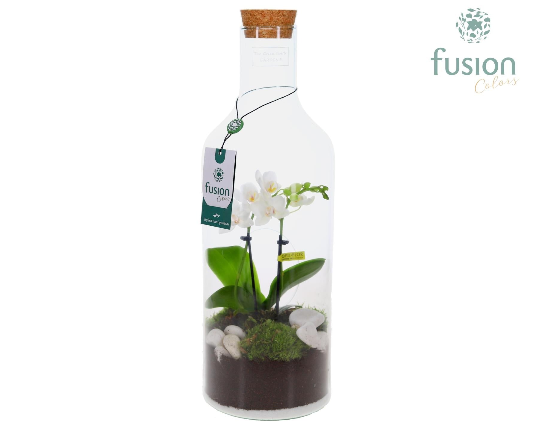 Fusioncolors BV Green Bottle Fles Medium met Phalaenopsis 24 uur levertijd Pack of 6