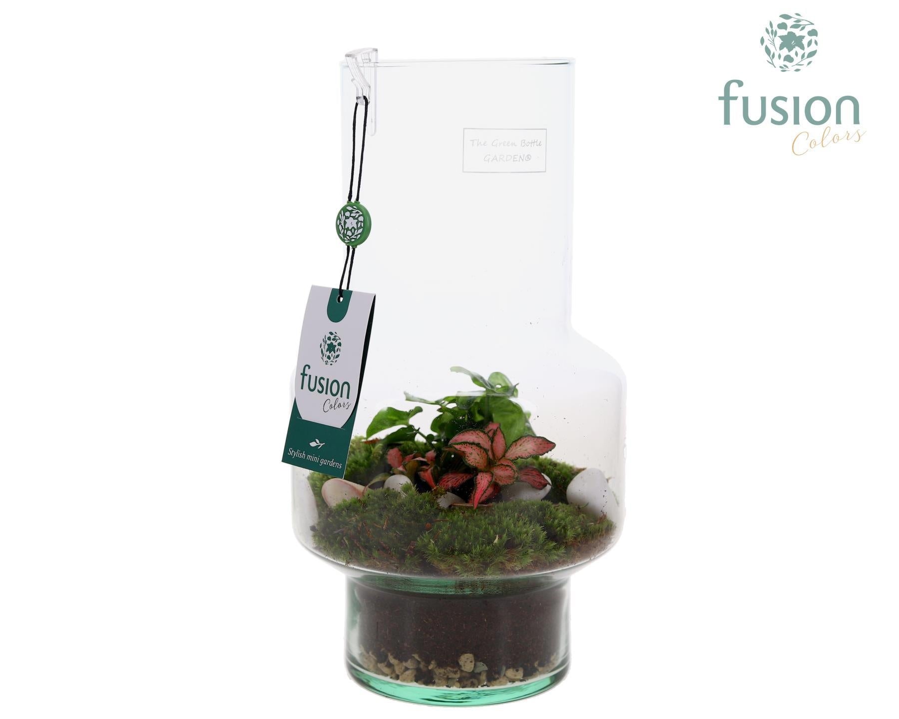 Fusioncolors BV Green Bottle Mia Medium met Arrangement Pack of 4