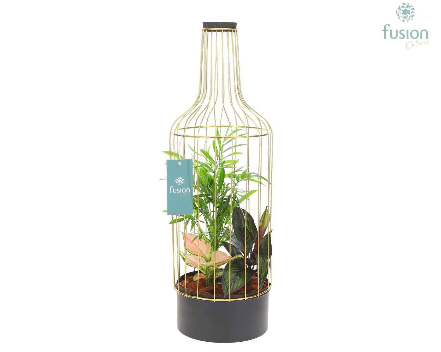 Metaal flesgoudzwart Large met Trendy planten 55cm 17cm Pot