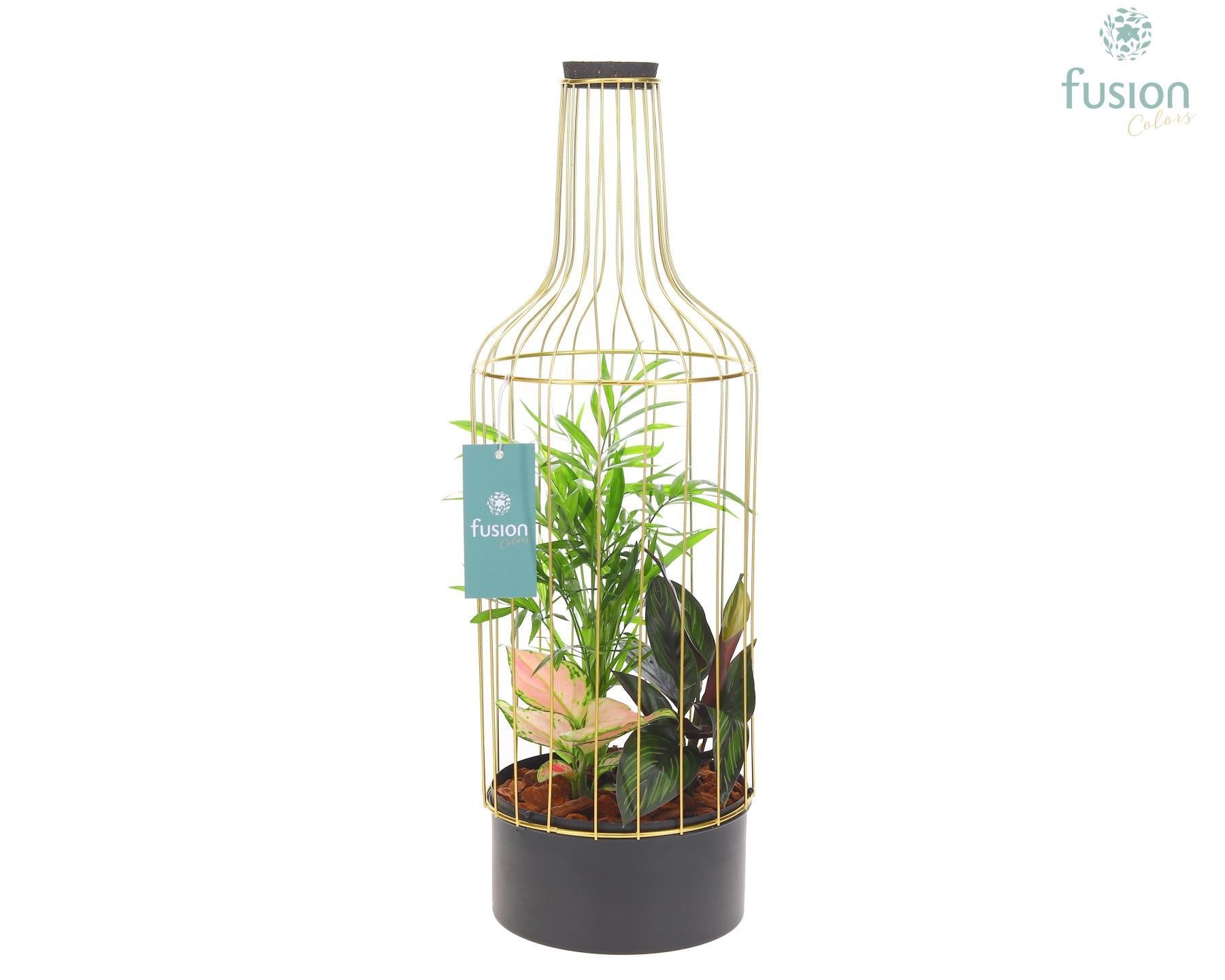 Metaal flesgoudzwart Large met Trendy planten 55cm 17cm Pot