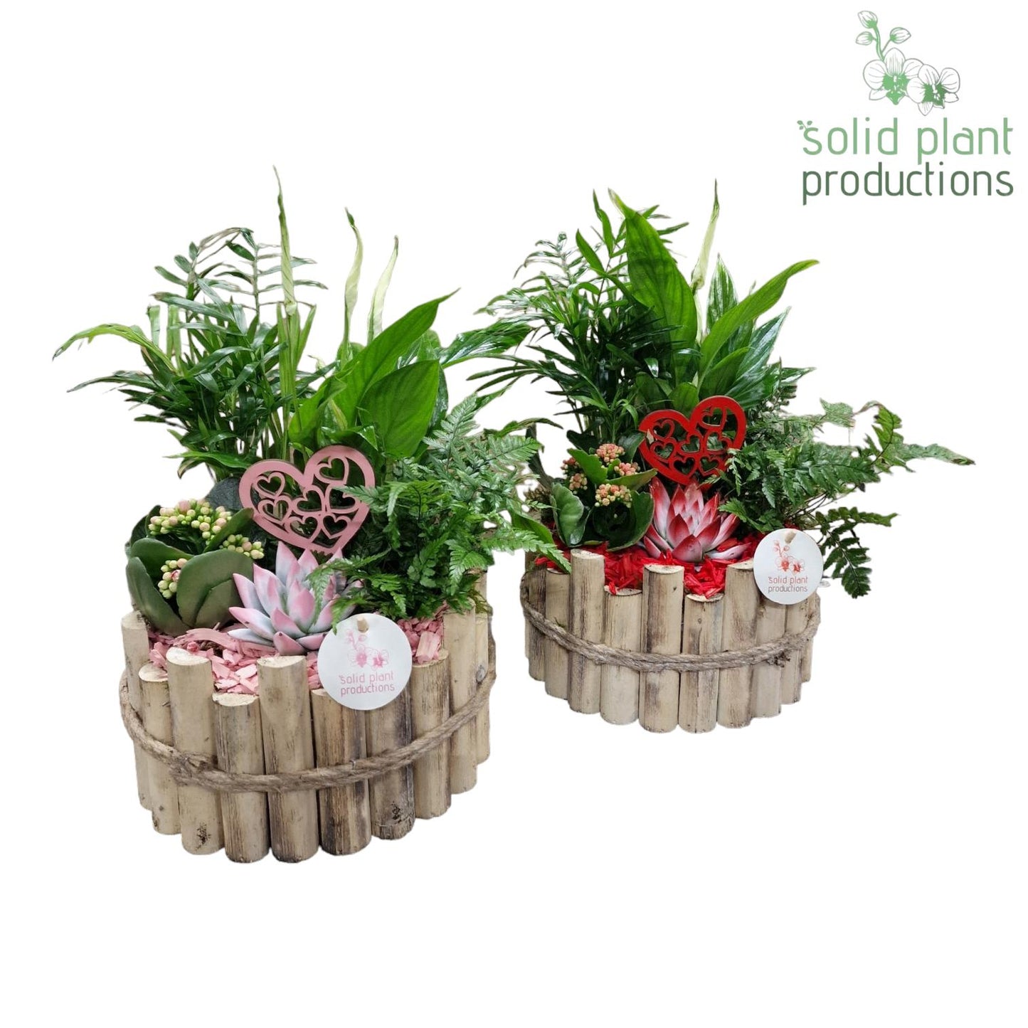 HVSCE002 Milano Large Red/Pink Mix 40cm 23cm Pot