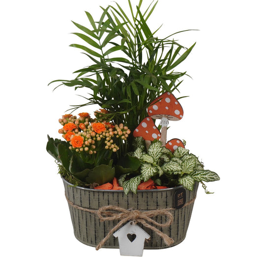Indoor arrangement 32cm 18cm Pot
