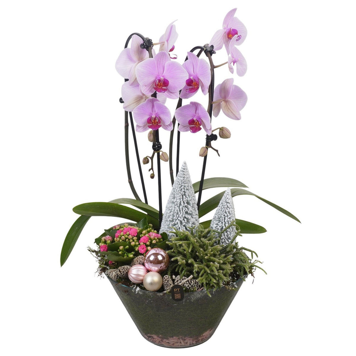 Christmas arrangement 57cm 25cm Pot