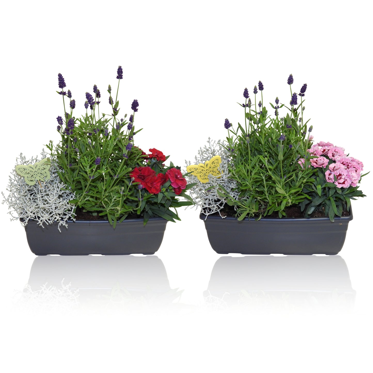Outdoor arrangement 40cm 27cm Pot