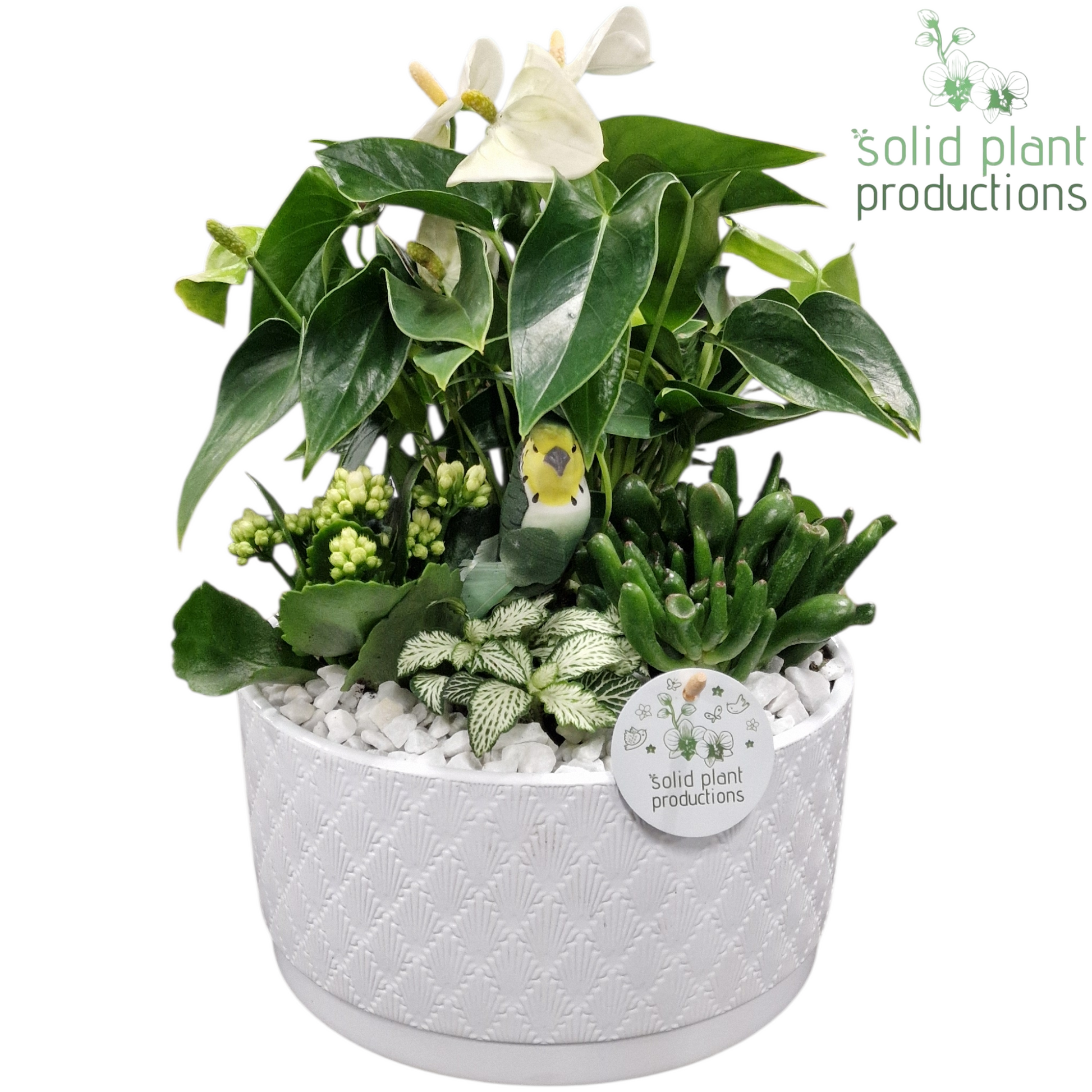 AT004 Stella White 42cm 22cm Pot