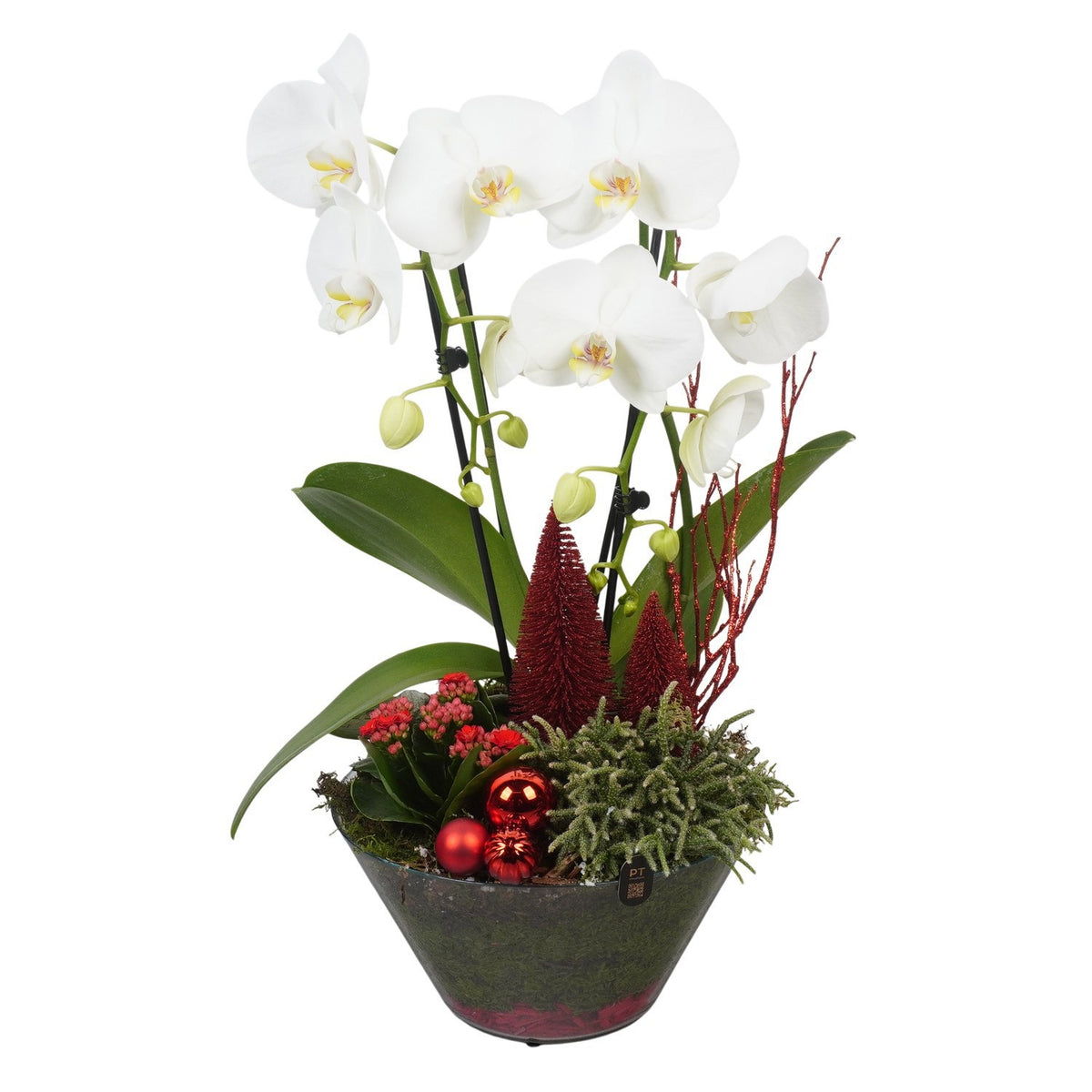 Christmas arrangement 58cm 25cm Pot