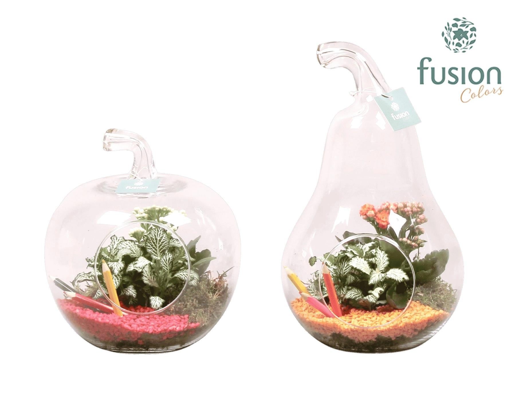 Glas appel en peer met kamerplanten back to school 2pp 29cm 20cm Pot