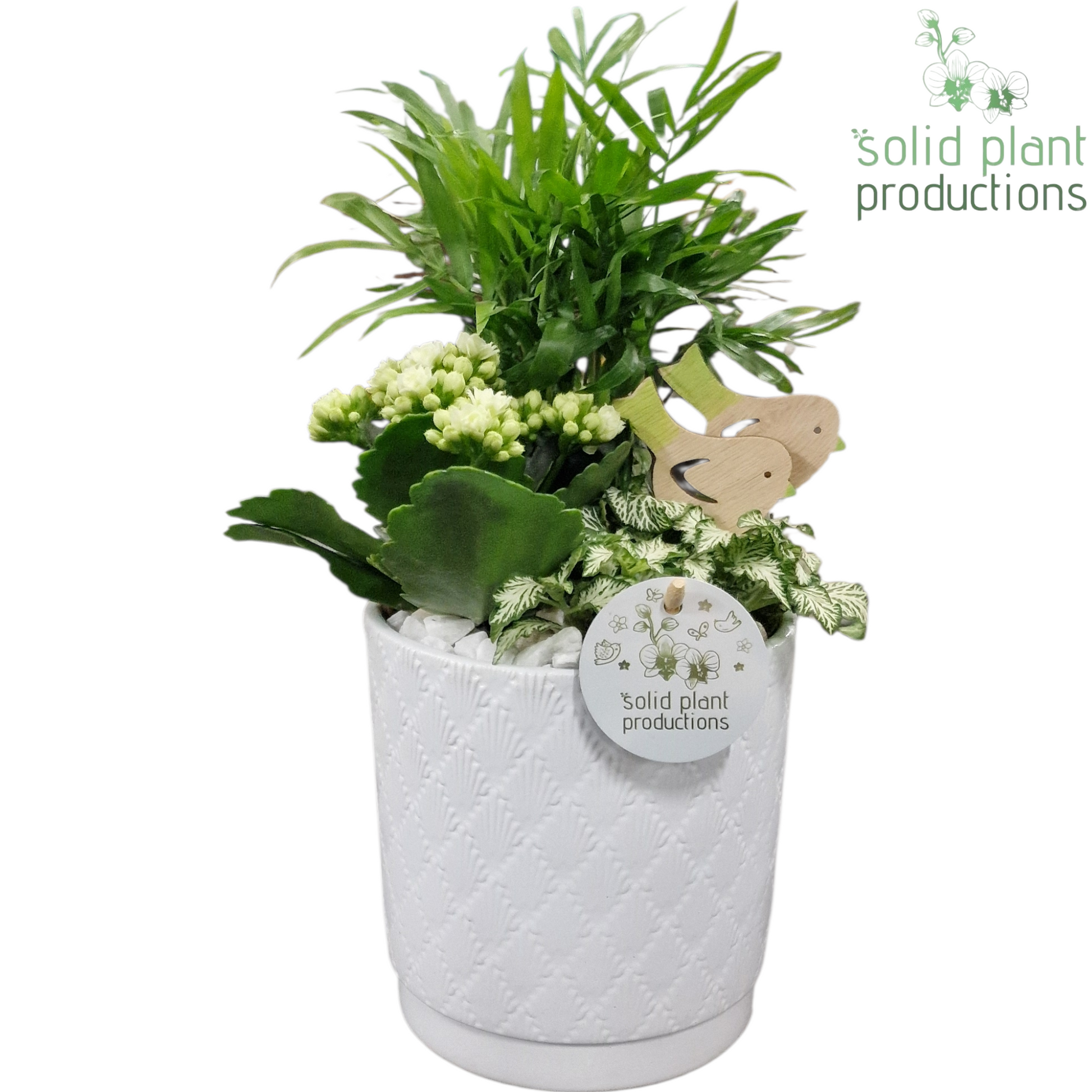 CH001 Amy White 35cm 14cm Pot