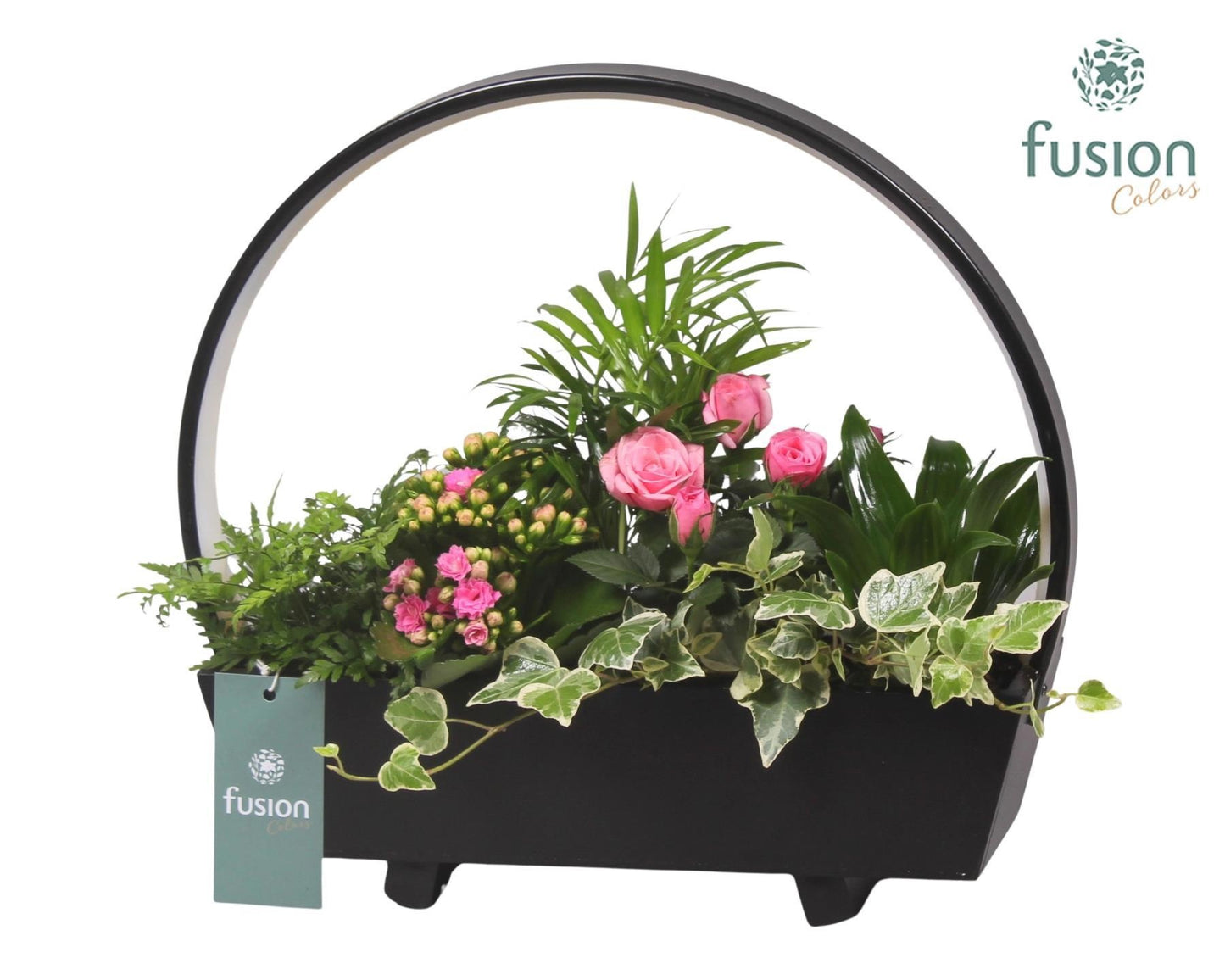 Lamp LED boog hout met Arrangement 29cm 32cm Pot