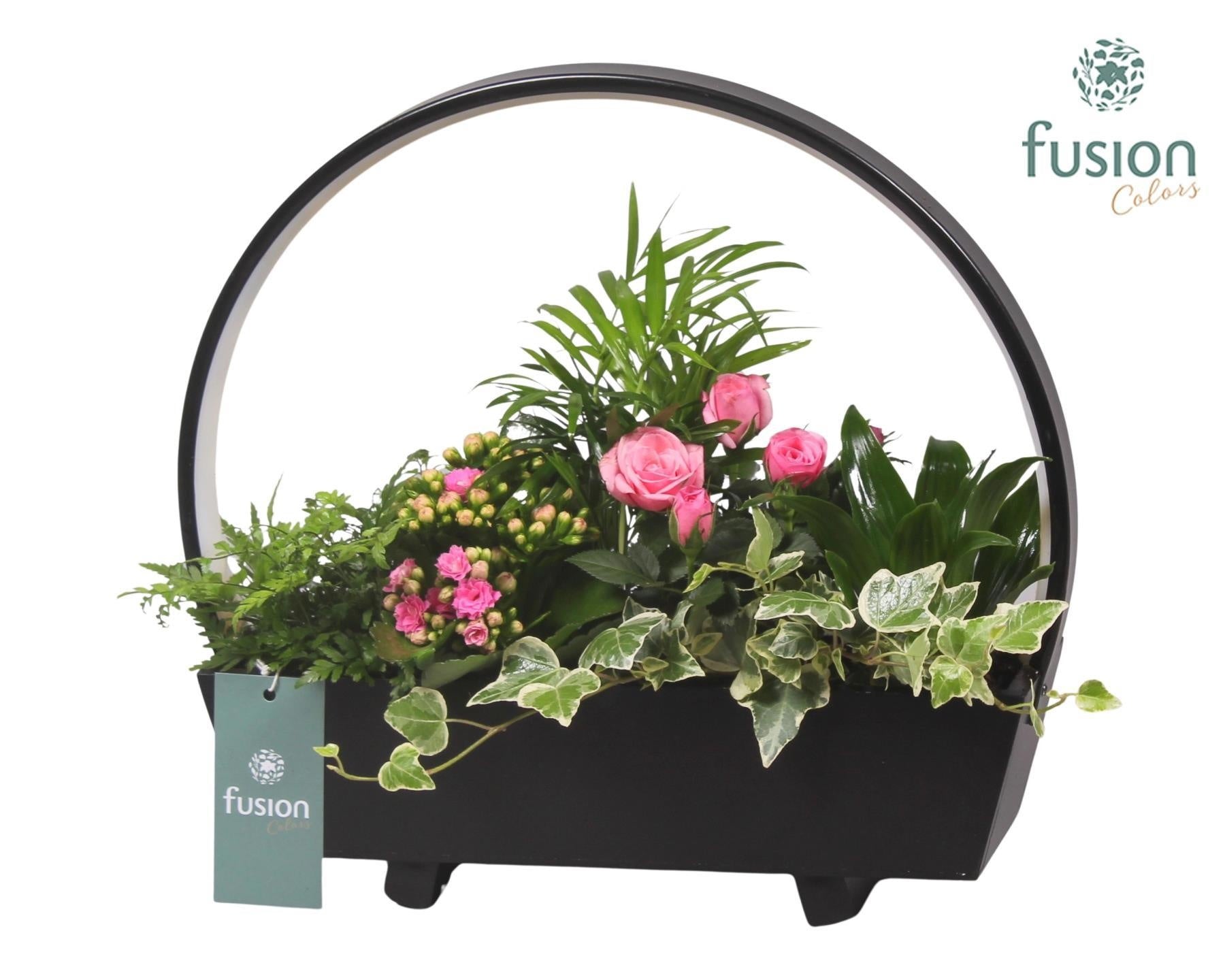 Lamp LED boog hout met Arrangement 29cm 32cm Pot
