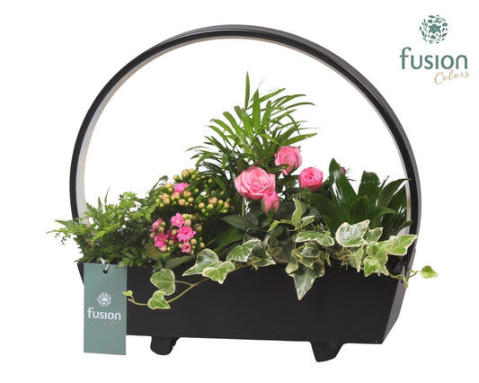 Lamp LED boog hout met Arrangement 29cm 32cm Pot
