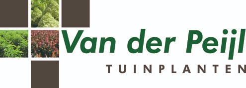 Peijl Tuinplanten, Van der Conifer & shrub mix Pack of 1