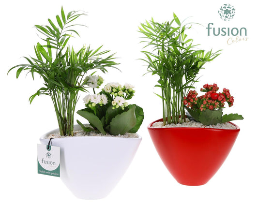 Pot keramiek Oval Small wit en rood met arrangement 35cm 19cm Pot