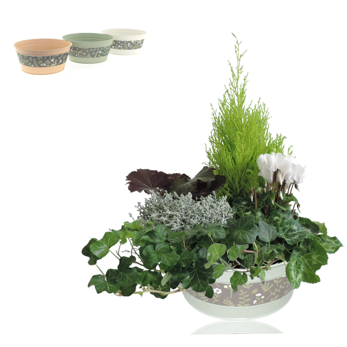 Outdoor arrangement 40cm 25cm Pot