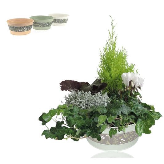 Outdoor arrangement 40cm 25cm Pot